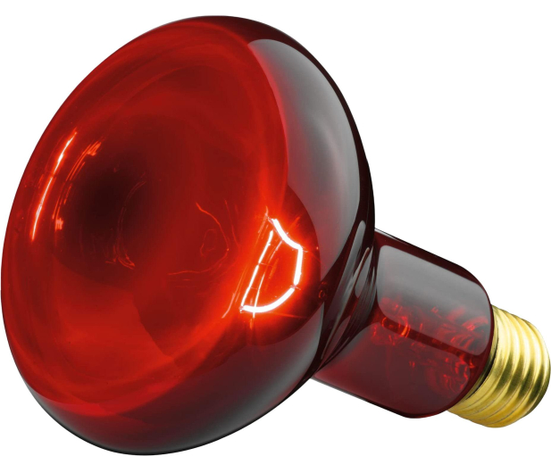 Beurer Sanitas SIL06 Lampa na podczerwień - 1373024 - zdjęcie 3